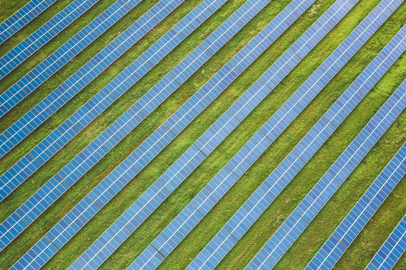 Rows of a free-field solar plant seen from above
